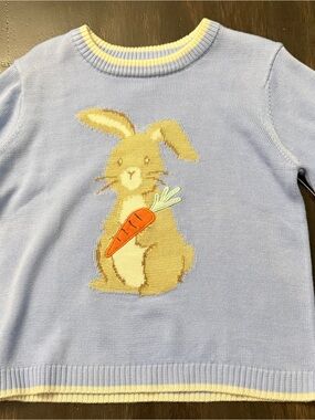 Light Blue Bunny Sweater with Carrot Motif